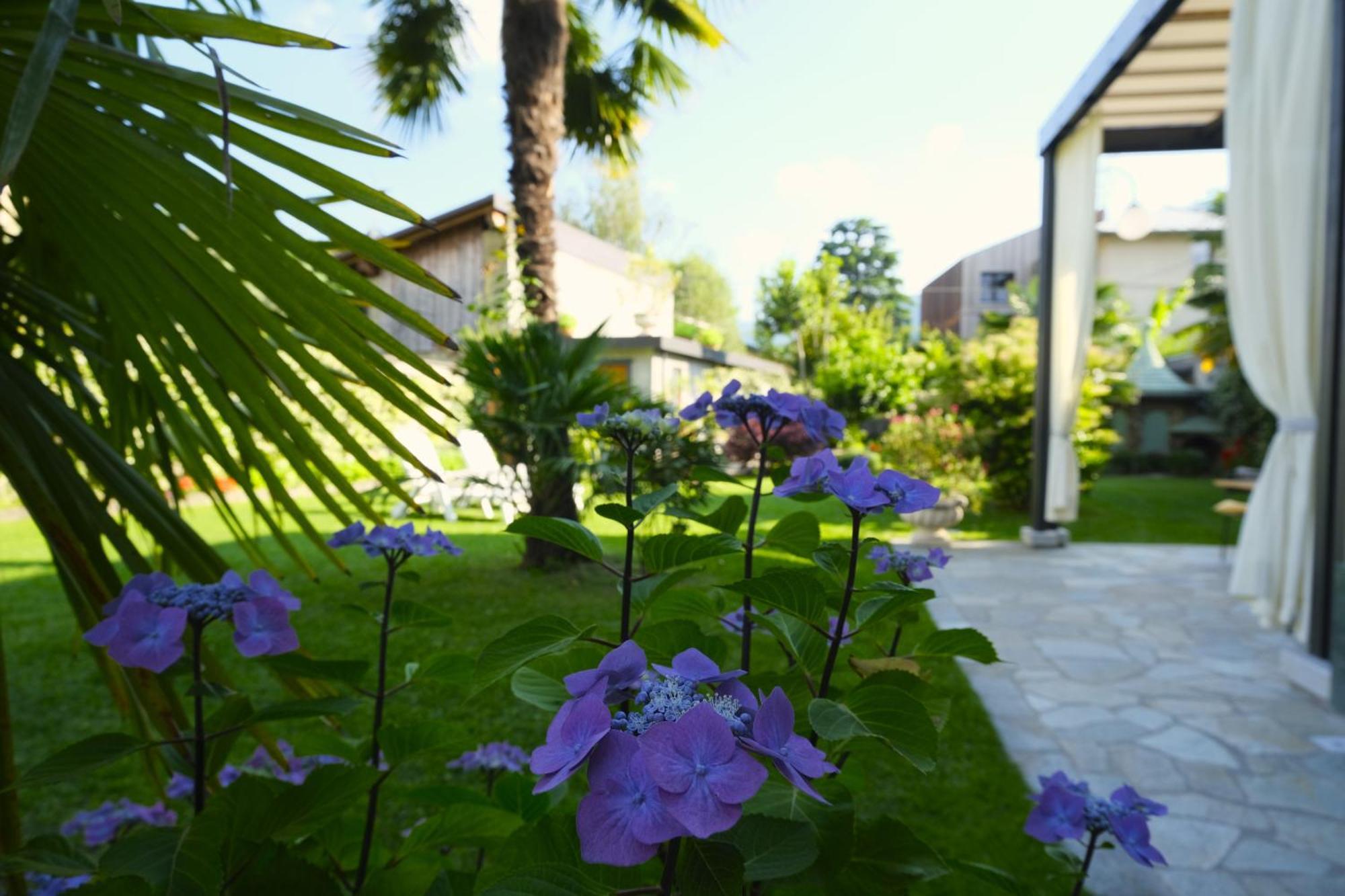 Residenza Laurum Mandello del Lario Zewnętrze zdjęcie